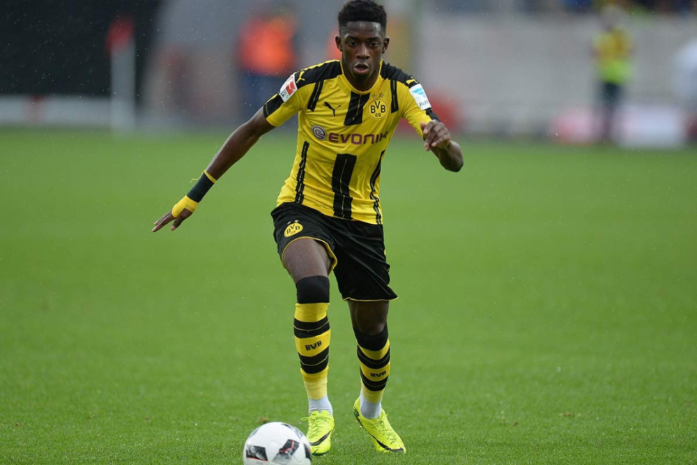 纵情野马为爱奔跑野马终点邂逅云端花