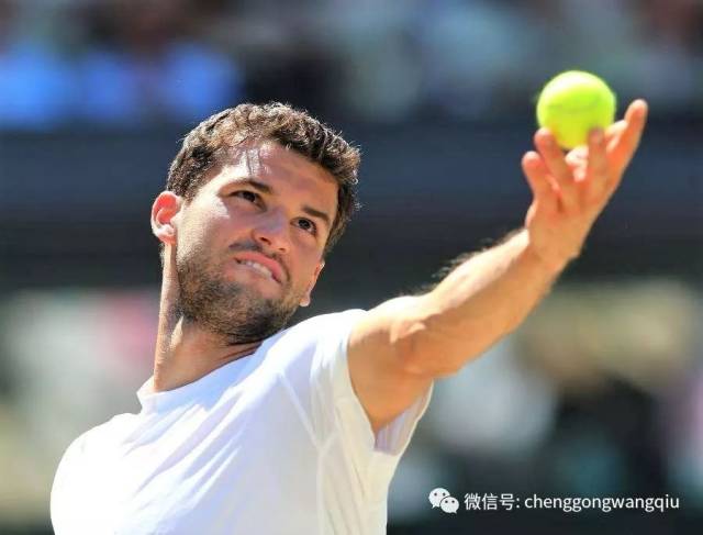 本美和的成 本美和的成